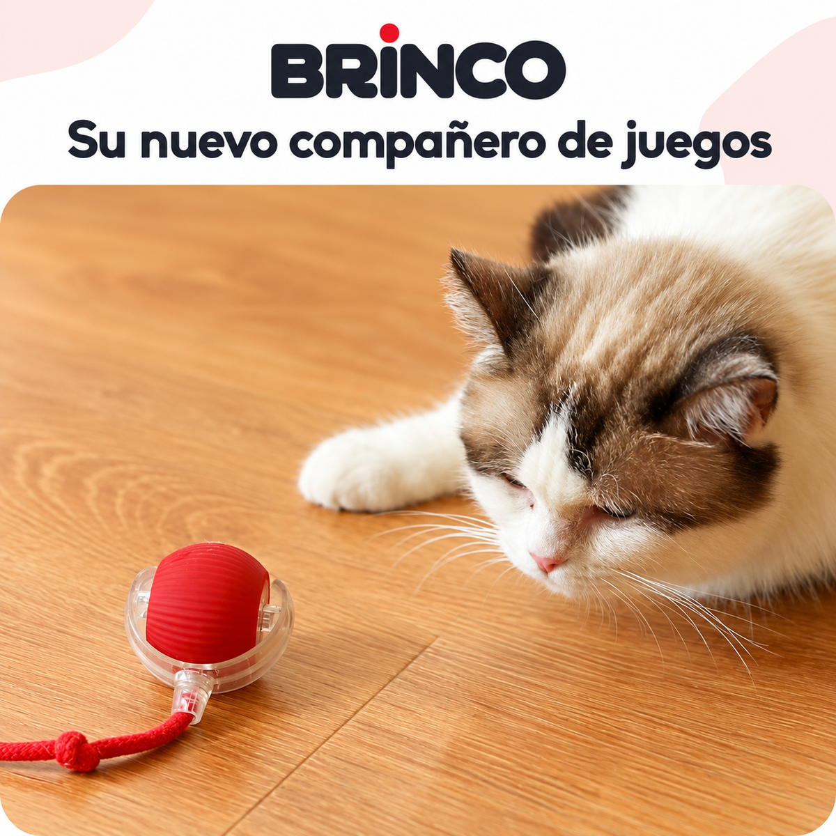 BOLA BRINCO